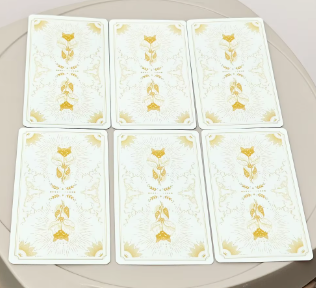 9LIVES 2