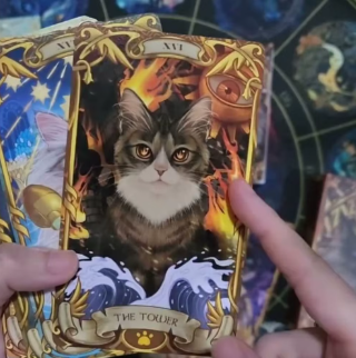 9LIVES 3